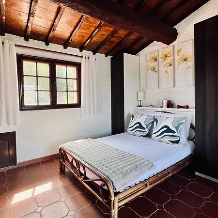 St Aygulf - Piscine Clim Velos Wifi *